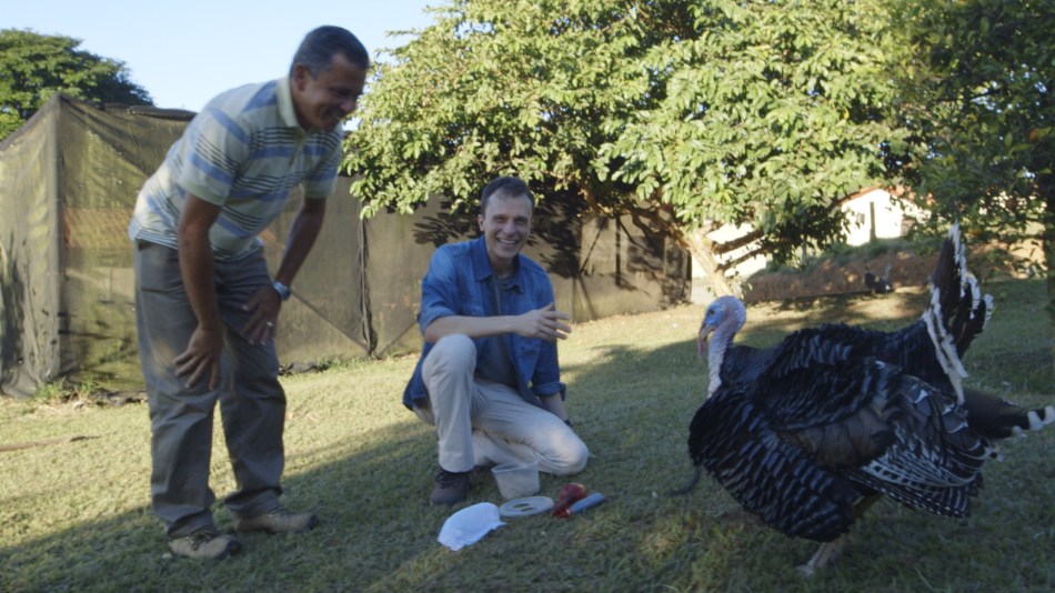 Miss∆o pet - Nat Geo 8