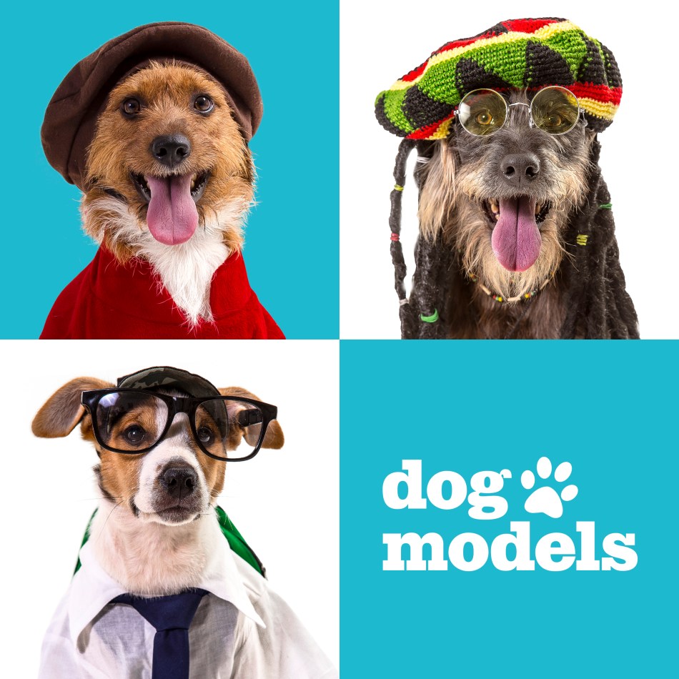 imagem_release_393703