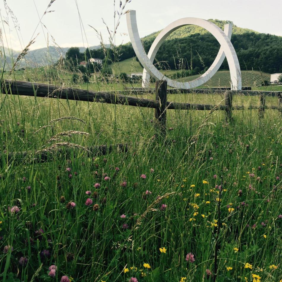 FullSizeRender_1536x1536